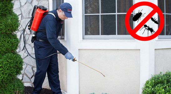 Eflani Bit İlaçlama böcek ilaçlama ve haşere kontrolü — ilaclama-tr.com